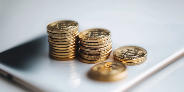 Explorez Vanado Trad : Vraie révolution du trading ou juste un autre système ?
