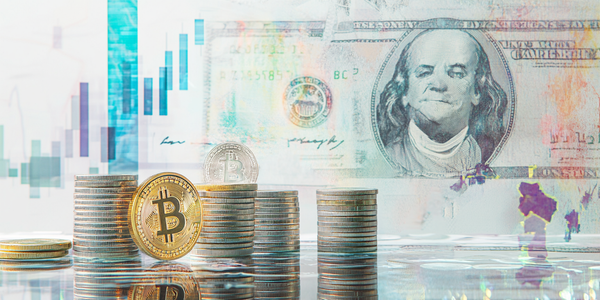 Déverrouillez les Secrets de Profitium Vista : Est-ce Fiable ?